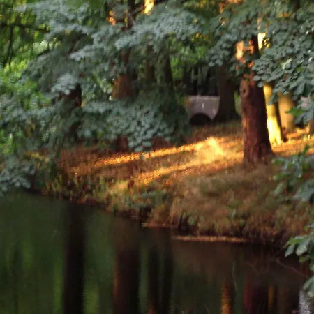 De Sloep * Bergen