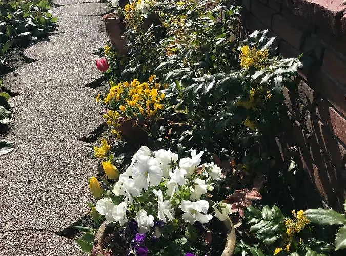 De Sloep 펜션 베르겐