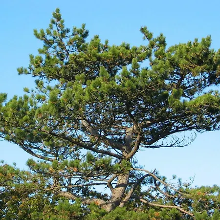 De Sloep Holiday home Bergen