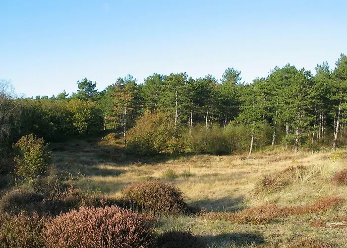 Holiday home De Sloep Bergen